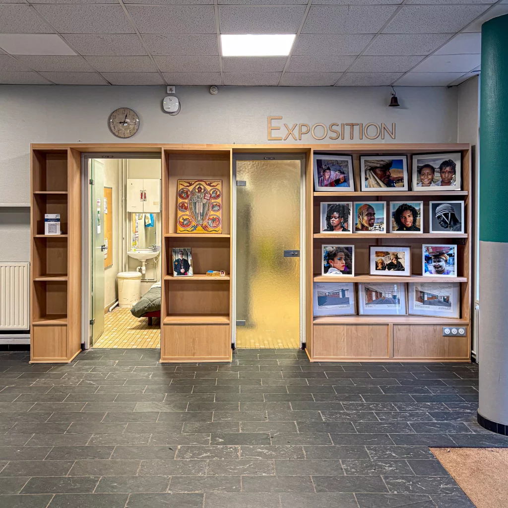 Bibliothèques sur-mesure en hêtre massif